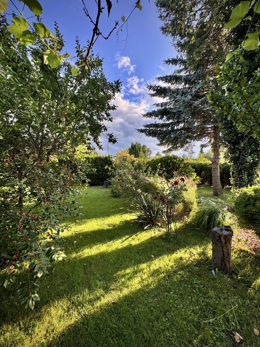 Ogród Działkowy na Rod Koninko