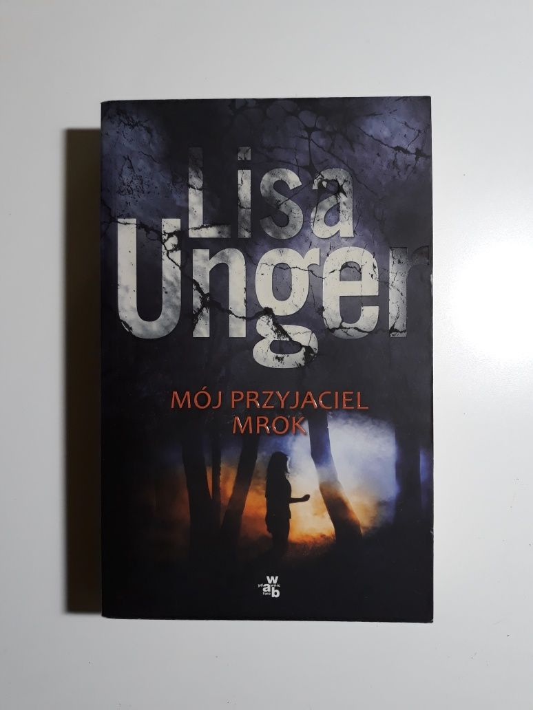 Mój przyjaciel mrok Lisa Unger kryminał