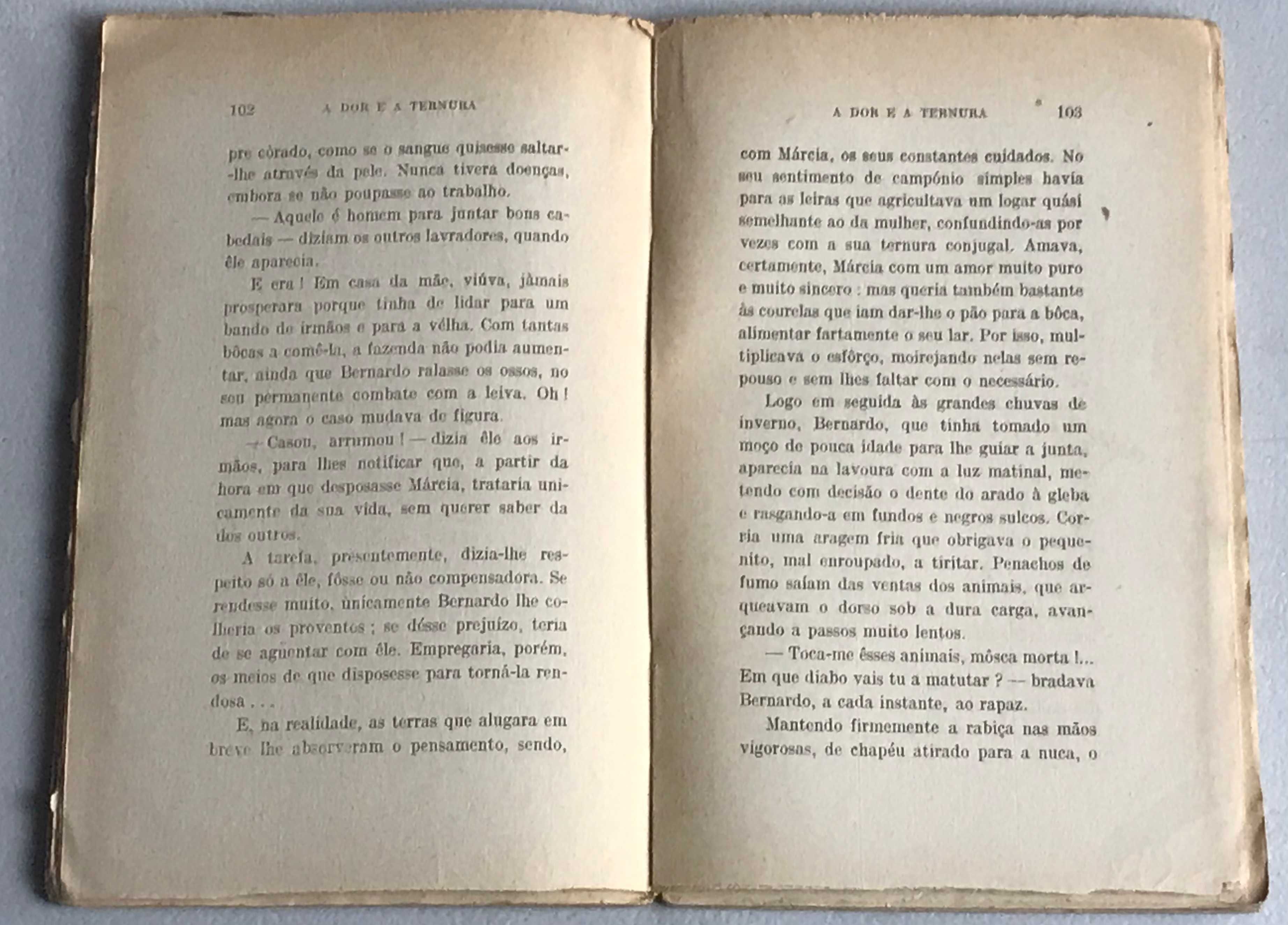 Livro: João Grave- A Dor e a Ternura