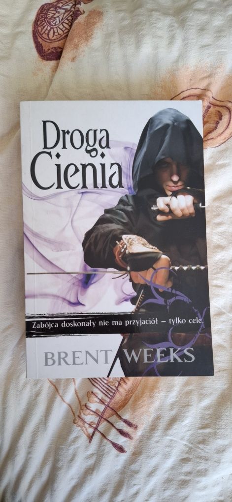 Droga Cienia, tom I Trylogii Nocnego Anioła
