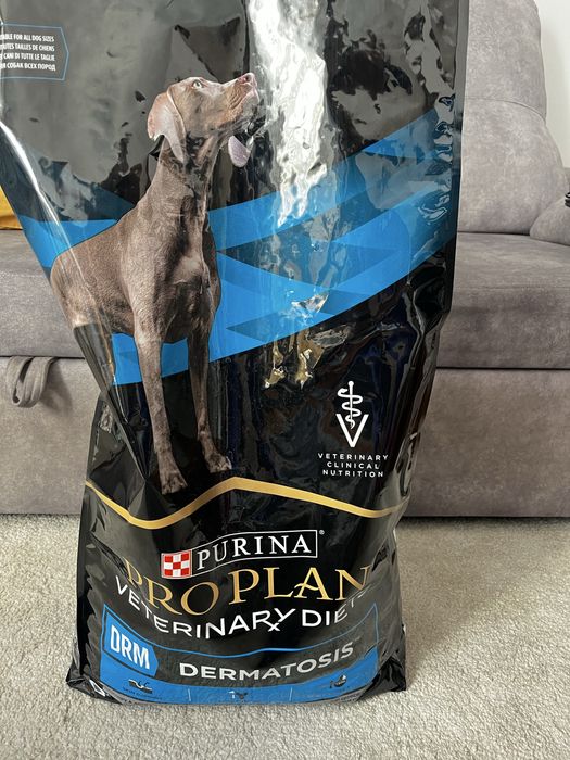 Ração para cão  Yorkshire