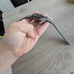Smartwach Samsung Watch 7