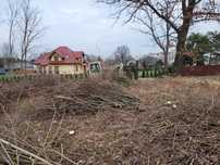 Czyszczenie działek wyrąb drewna