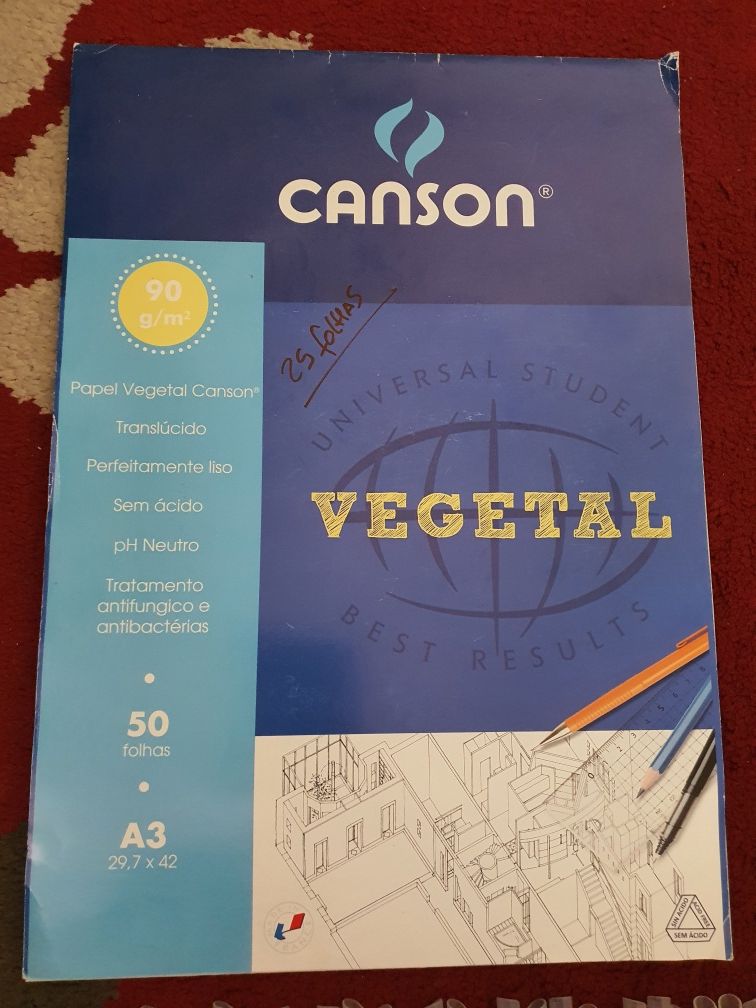 Conjunto pintura/desenhos 35 Canetas Bic Papel Vegetal Papel Cavalinho