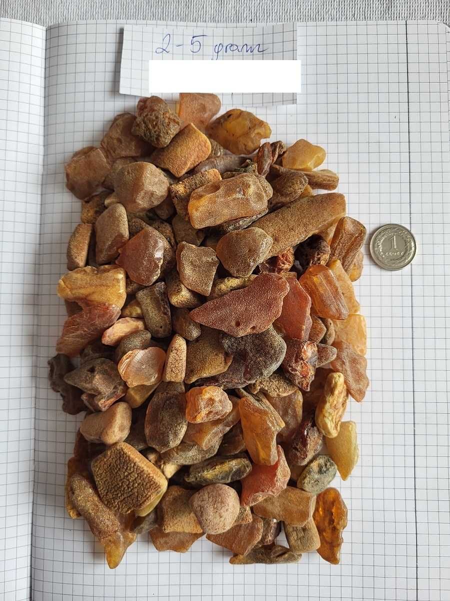 Bursztyn Bałtycki POLSKI od2do5gram 1000/1KG do wyrobów duże bryłki