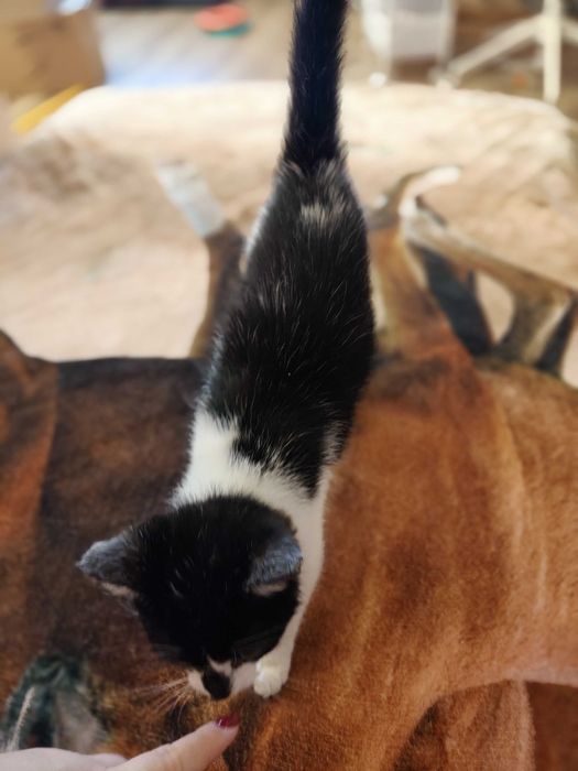 Czy Maja czeka na Ciebie?