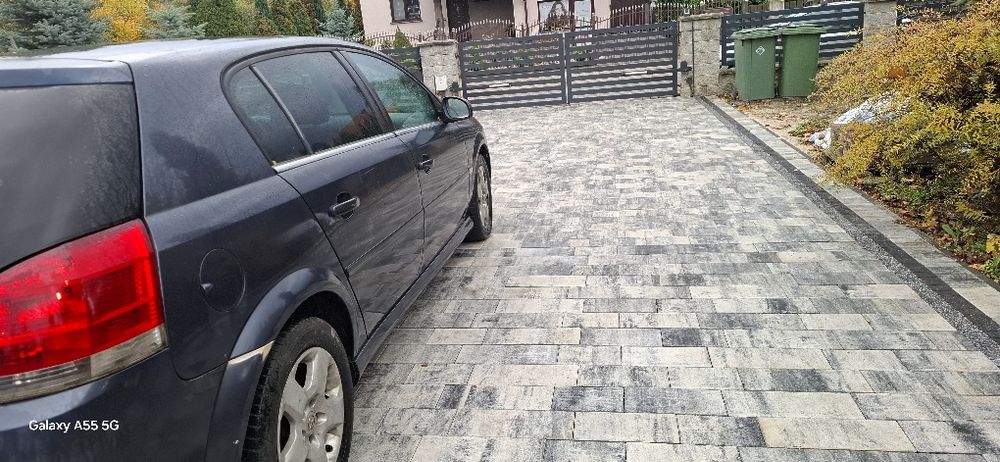 Signum 1.9 tdi 150km