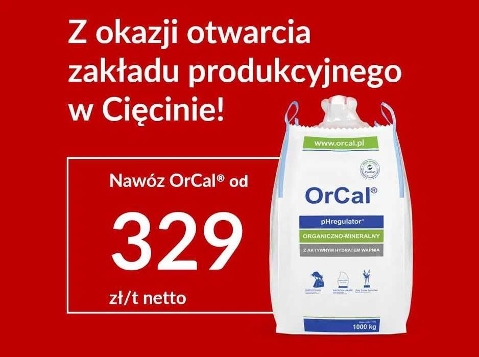 Cena promocyjna. OrCal aktywny hydrat wapnia, wapno. Okazja