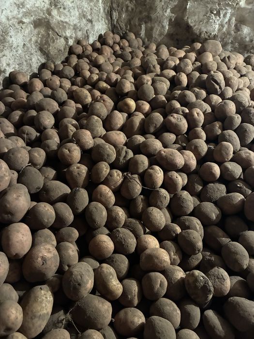 Овочі з доставкою ( картопля , морква, буряк червоний)