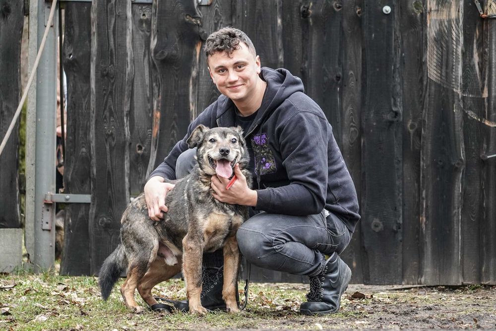 MOON  - starszy piesek szuka domu