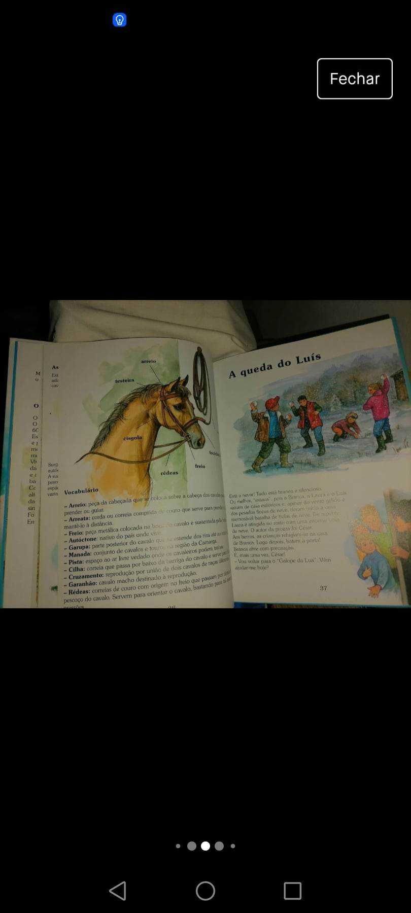 Livros  O cavalo da. Majora
