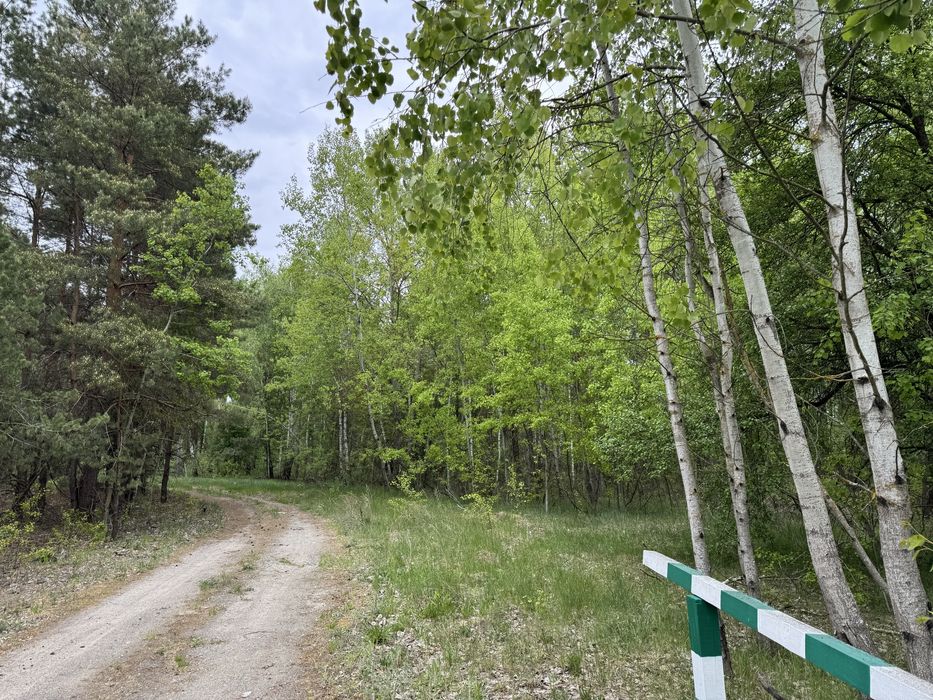 Земельна ділянка 1 га поруч з великим лісом!!!с.Здвижівка.