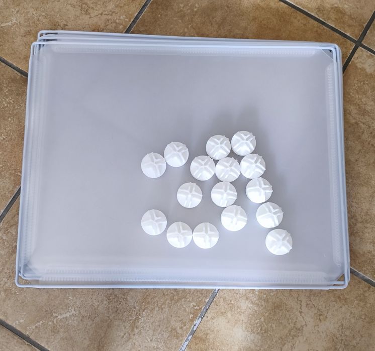 Parque de treino para cachorros