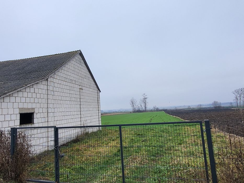 Gospodarstwo z polem Niewirków