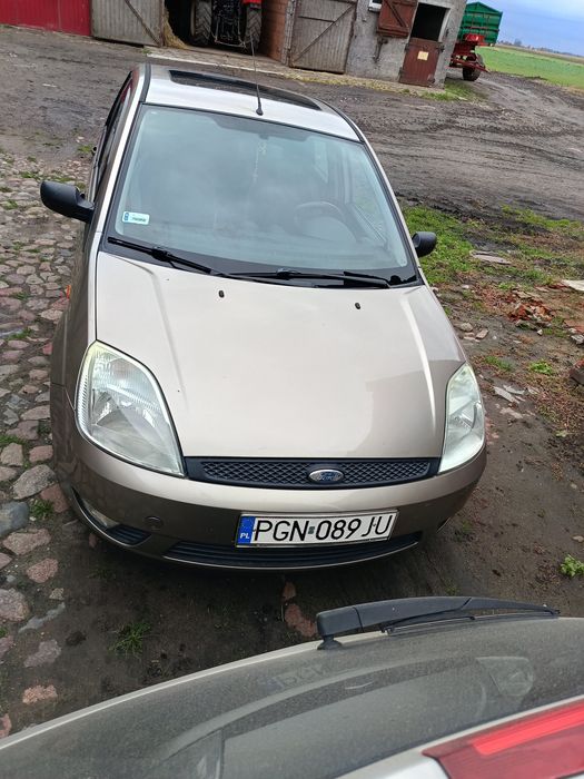 Ford Fiesta 2004