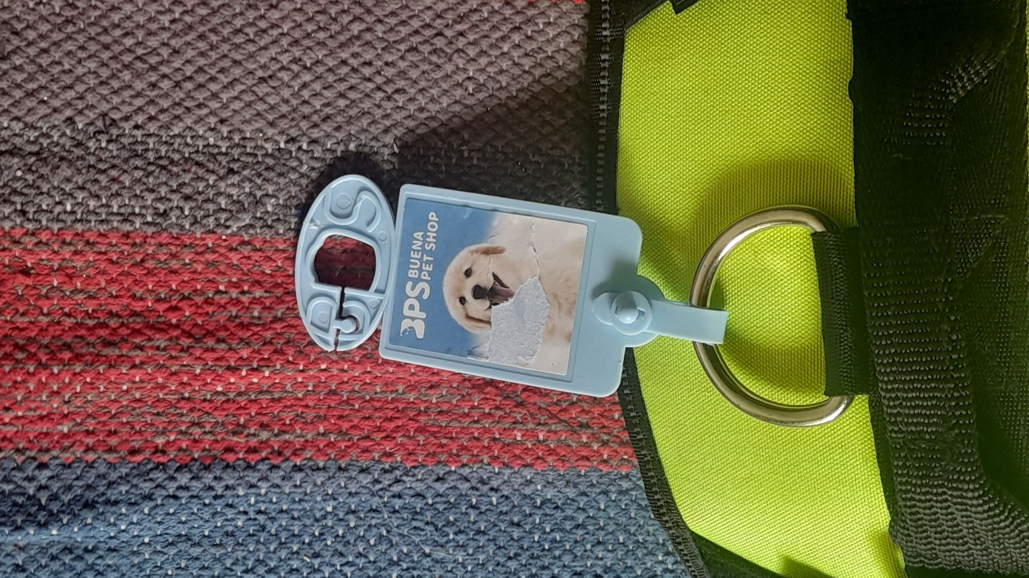 Colete para passear cão