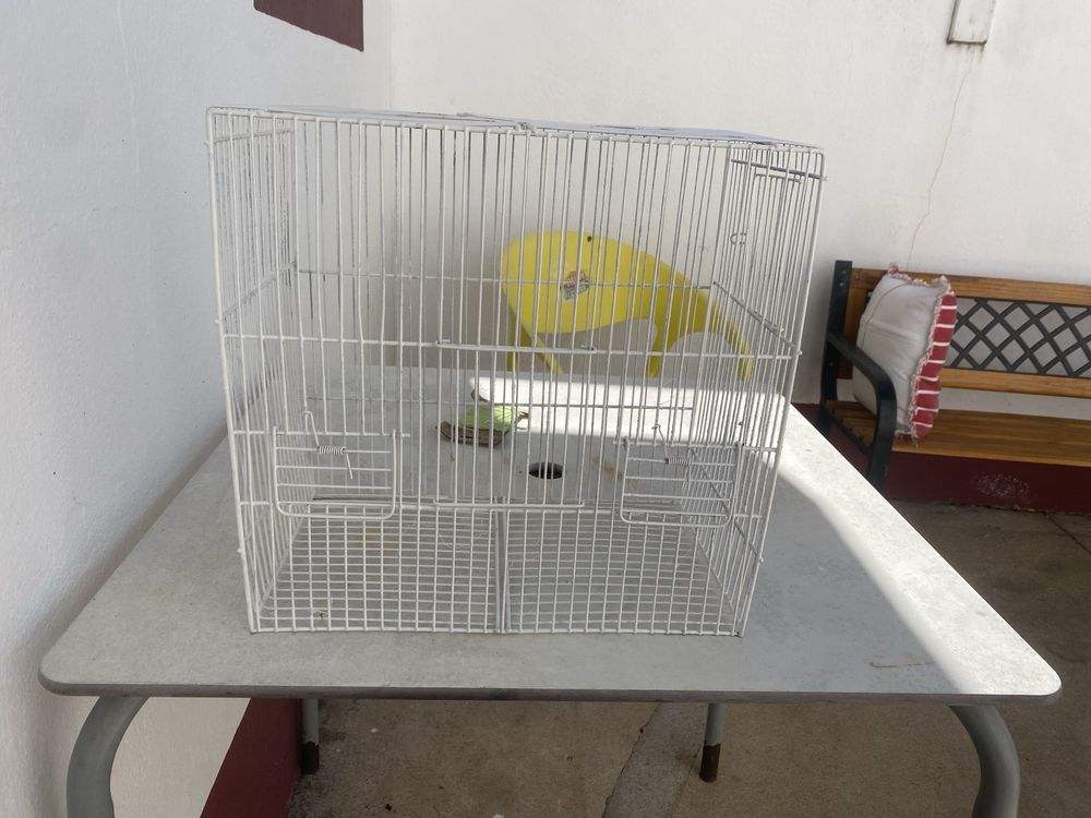 Gaiola bom preço