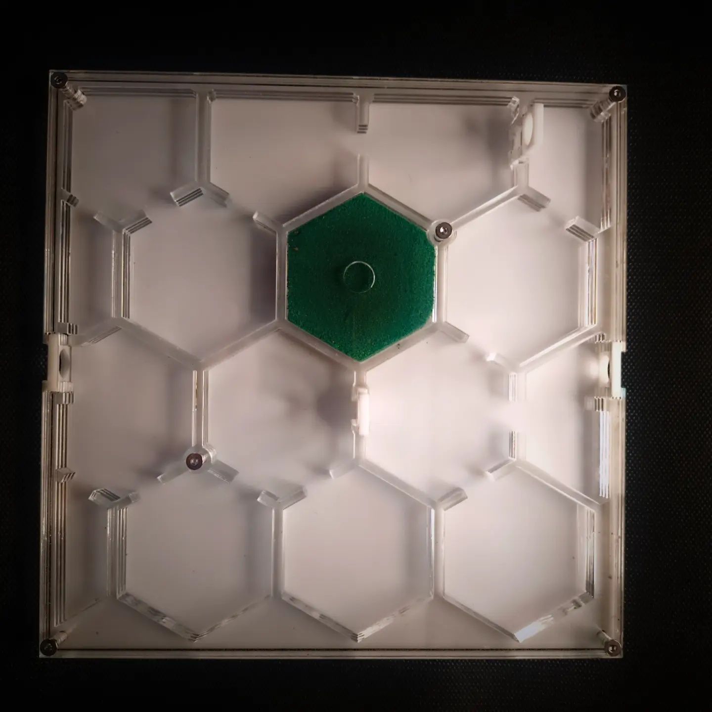 Gniazdo akrylowe dla mrówek 20x20