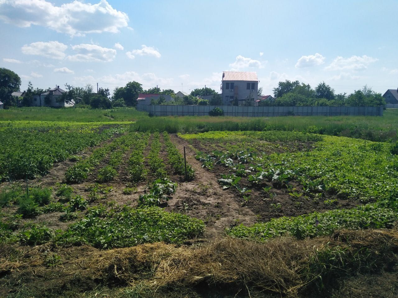 Продам участок Новоселовка