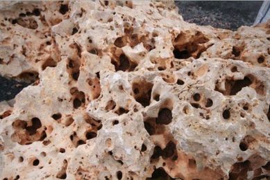Kamień Księżycowy Moonstone Skała do Akwarium Malawi Tanganika Dragon