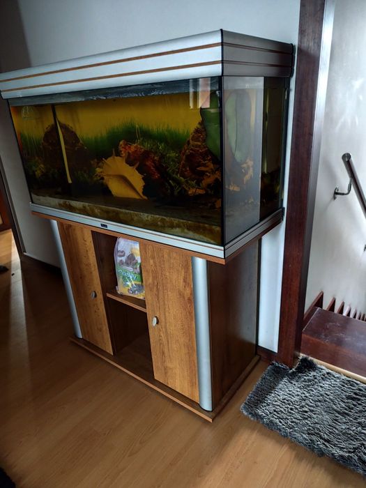 Vendo aquário com movel