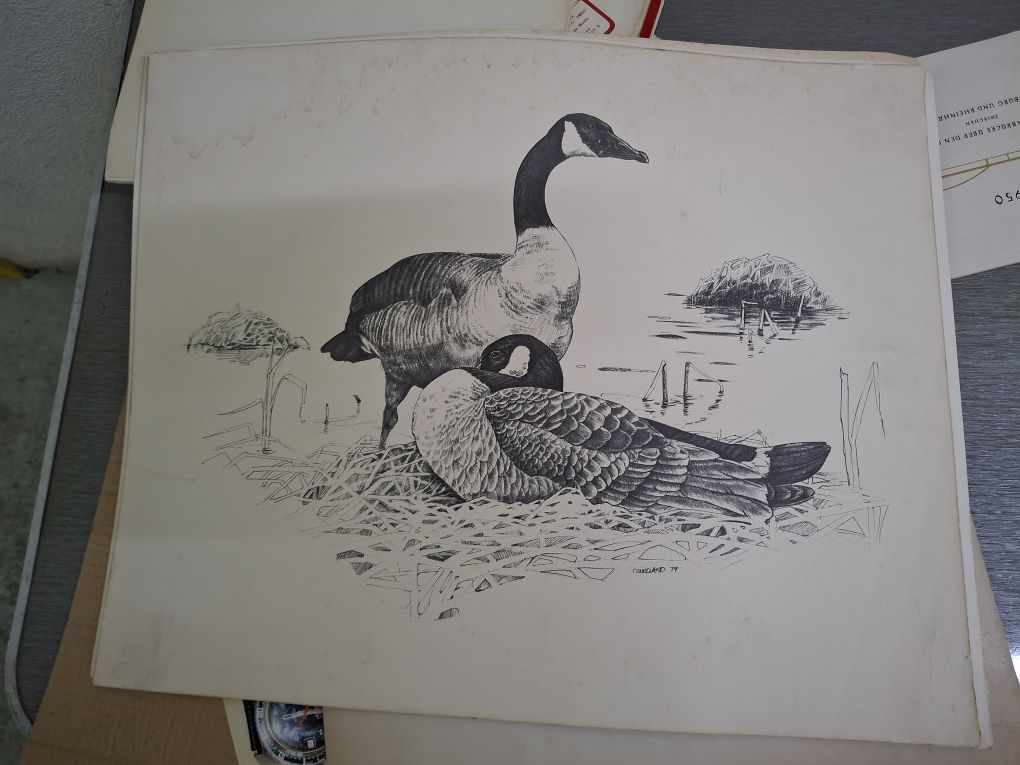 Grande Desenho antigo pintura