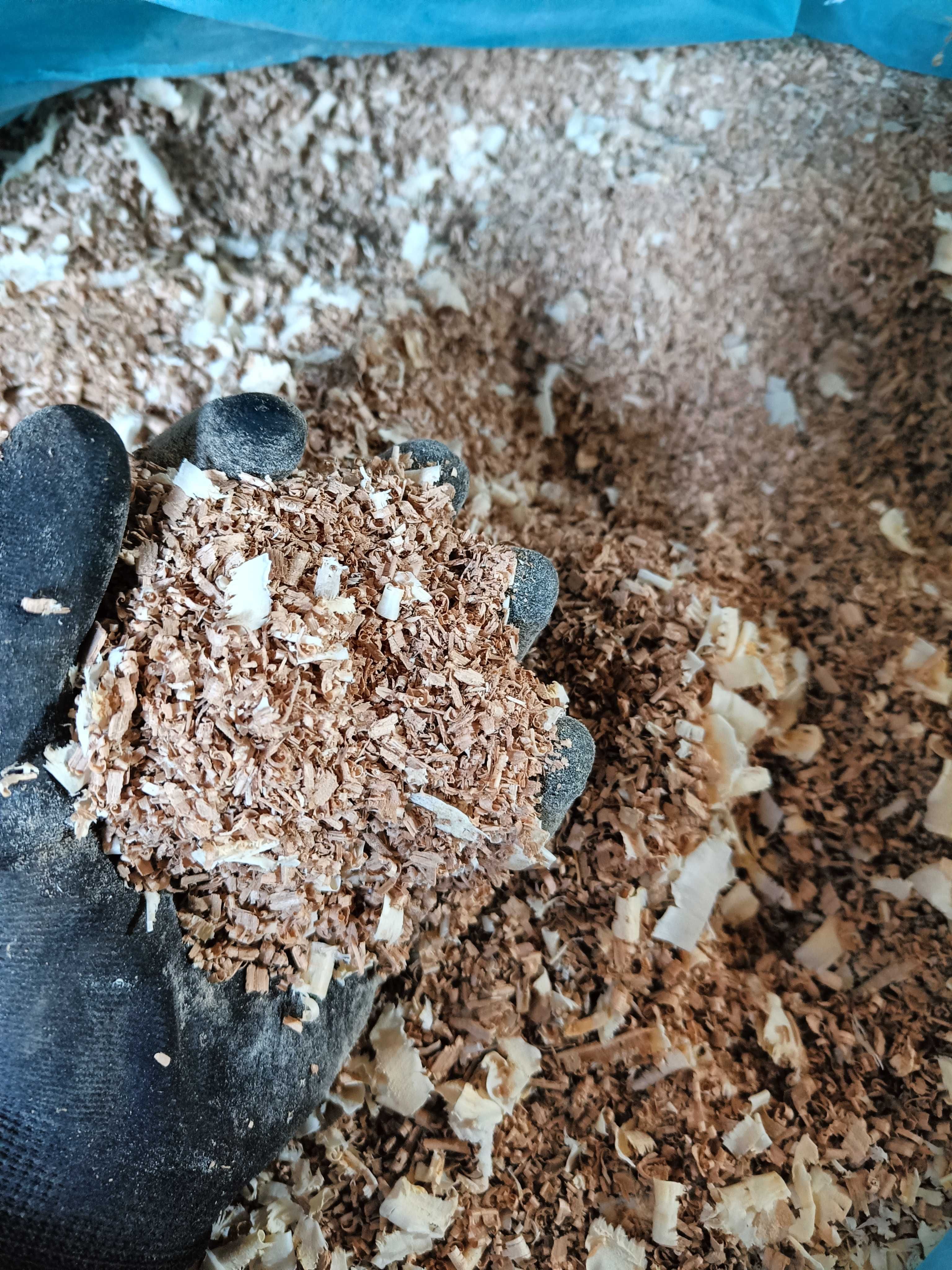 Ściółka dla koni, bydła, zwierząt zrębki, słoma i wióry\trociny BigBag