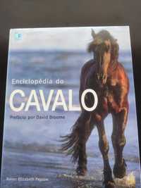 Enciclopédia do Cavalo