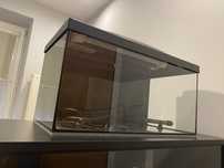 Akwarium 54l 60x30x30