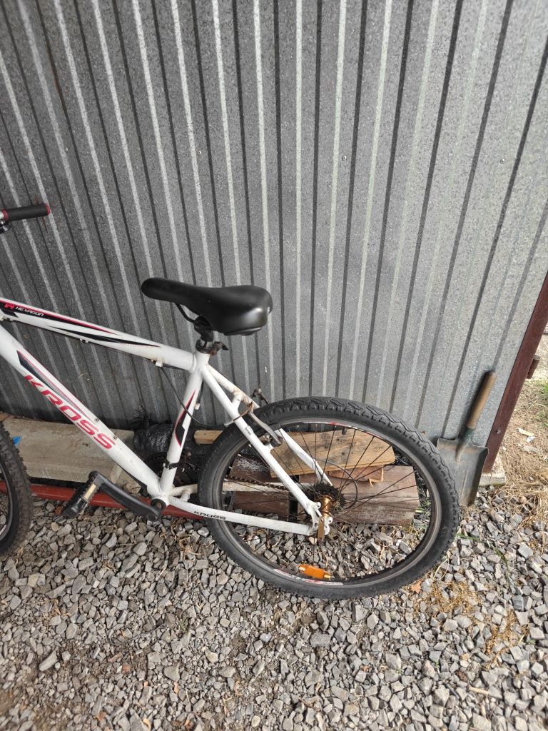 Rower Kross Hexagon V4 2012