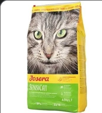 Бенгальські кошенята