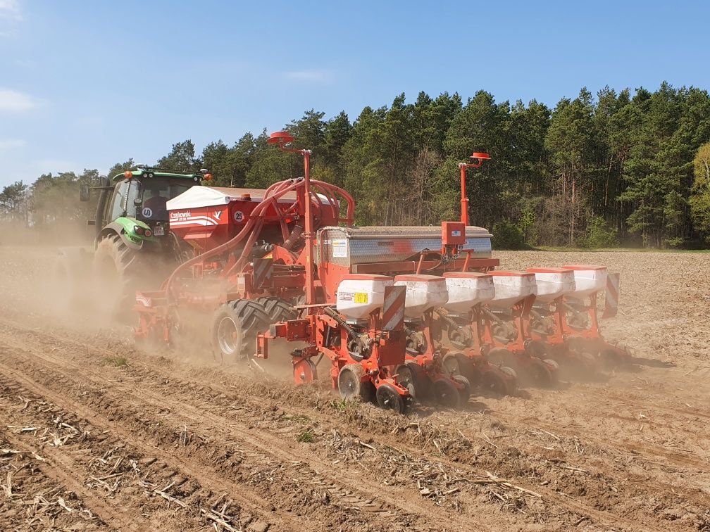 Siew  rzepaku, zbórz,  uprawa pasowa,  strip till