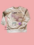 Bluza H&M r98/104 *Wysylka paczkomatem w ten sam dzień *