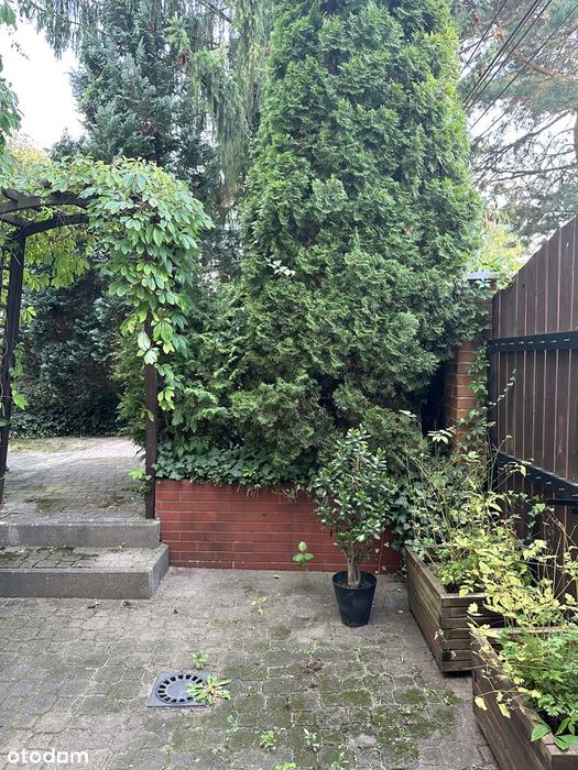 Działka z domem w Centrum Izabelina