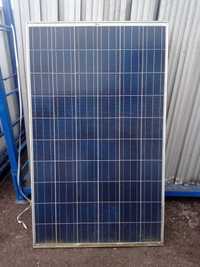 panele fotowoltaiczne 240W Trina solar