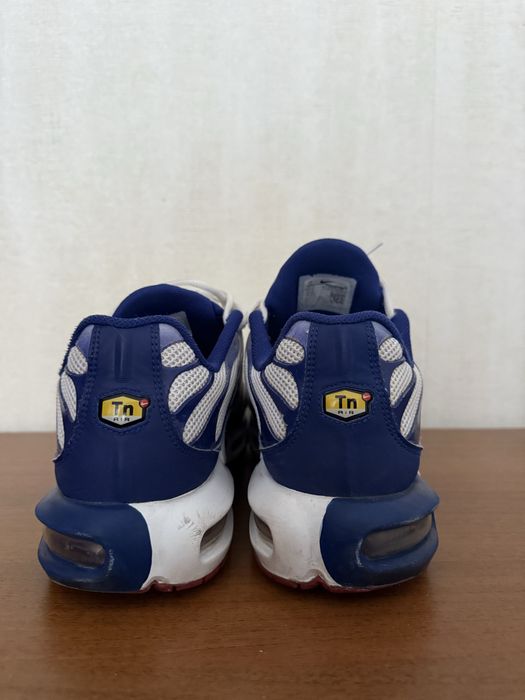 Чоловічі кросівки Nike TN Air Max Plus, Найк ТН