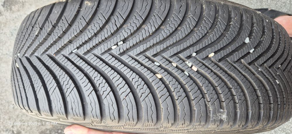 Зимові шини Мішеліни