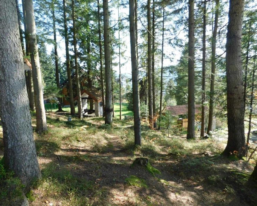 Будинок, вілла, Східниця, Львівська область