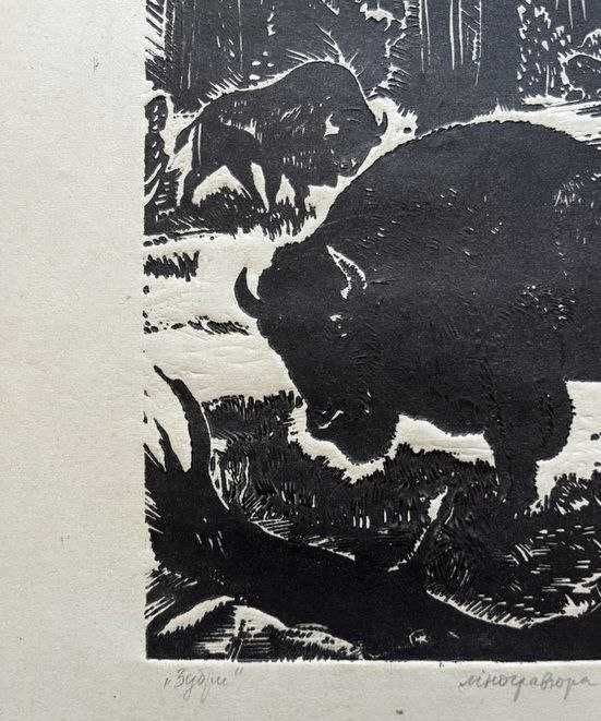 Графіка "Зубри".1981рік. Художник Клєпіков Микола