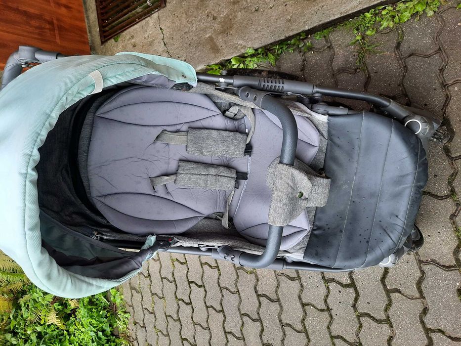 Spacerówka beksa