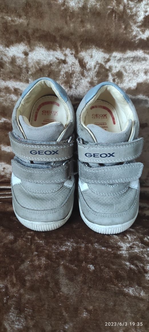 Geox adidasy 23  dla chłopca