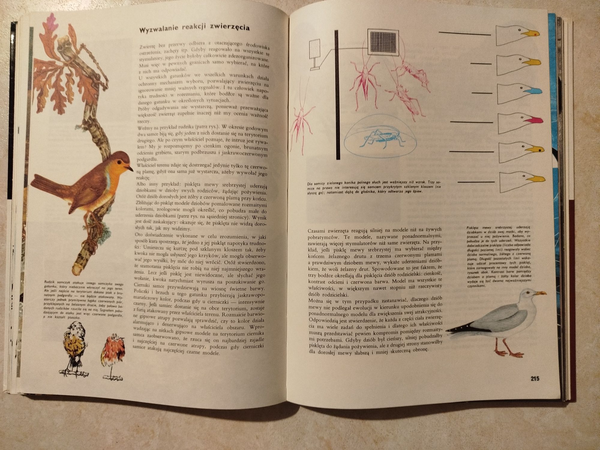 Ziemia rośliny zwierzęta Larousse