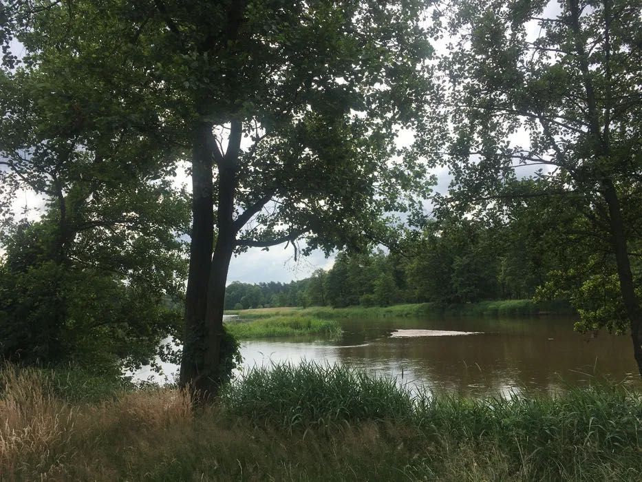 Do wynajęcia domek z tarasem nad Wartą w miejscowości Kochlew