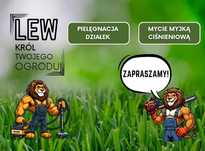 Usługi ogrodnicze, koszenie trawy, mycie kostki brukowej i elewacji