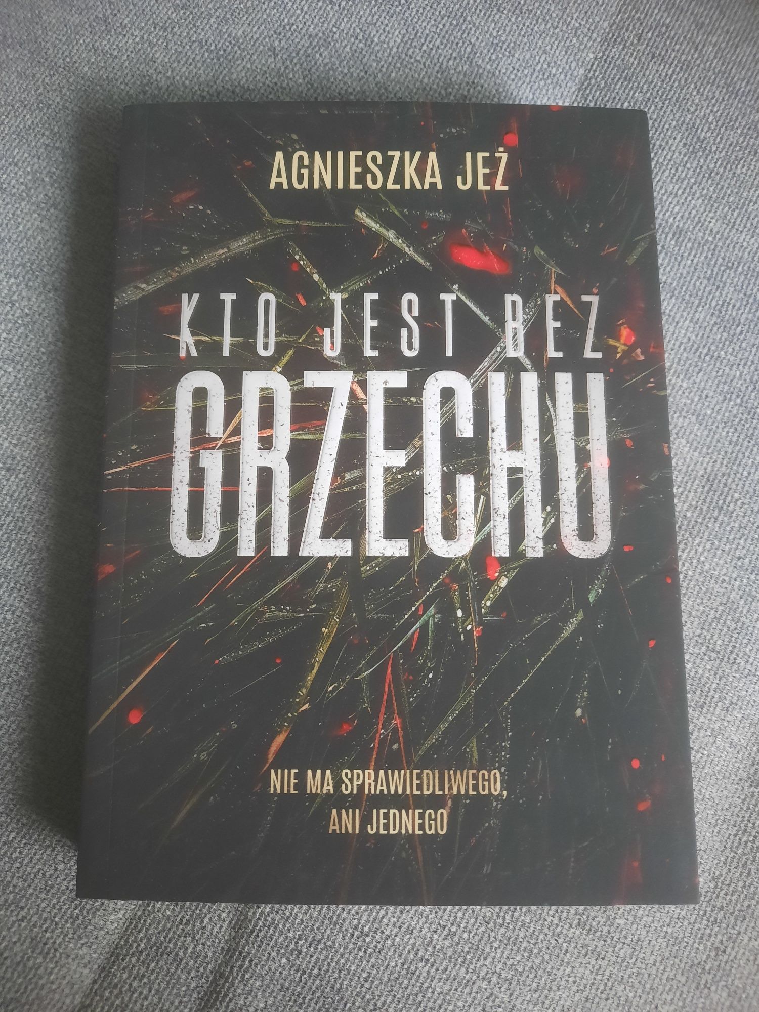 Książka "Ktoś jest bez grzechu" Agnieszka Jeż