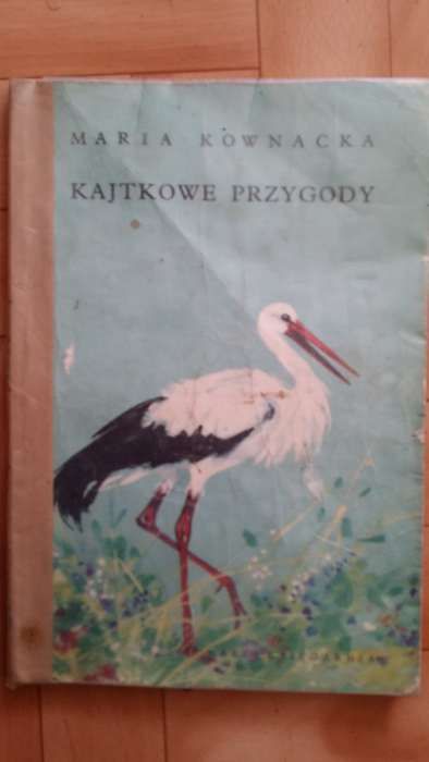 Książka Kajtkowe Przygody