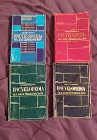 Kieszonkowe encyklopedie dla krzyżykowiczów