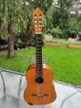 NOWA Takamine Jasmine C-22 gitara klasyczna Walnut deep body  Great !!