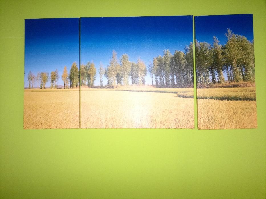 Vendo    Quadros