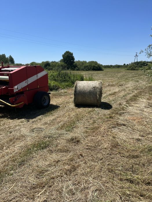 Siano siano siano siano tegoroczne siano tegoroczne siano